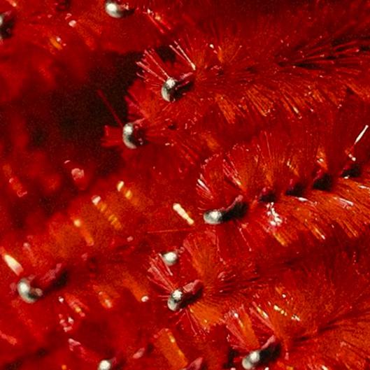 Full Set & 1 Fill included